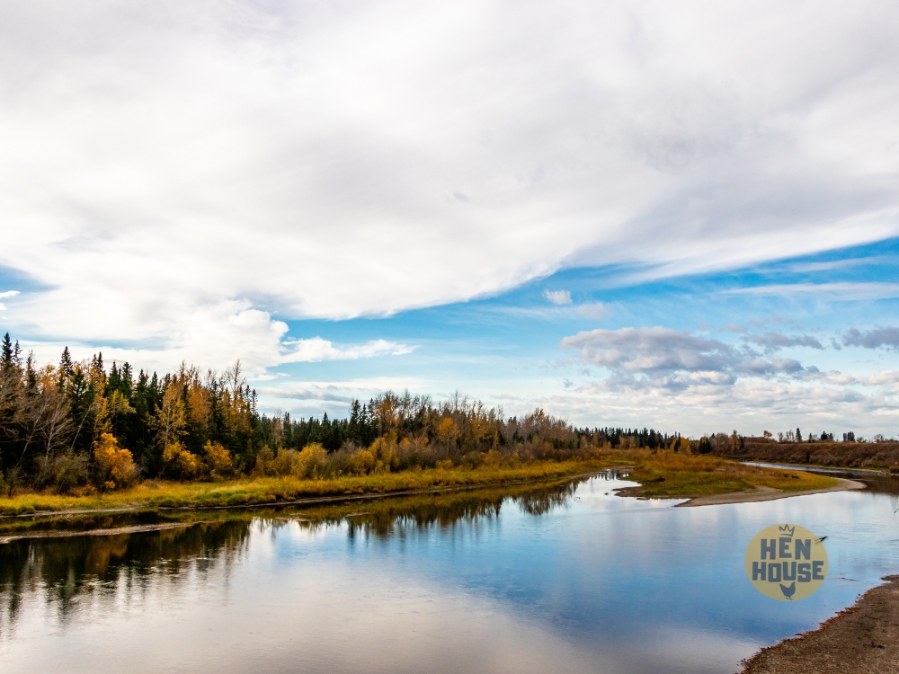 Red Deer Hen House Project - Alberta, Canada
